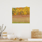 "COUCHES DE COULEUR/FEUILLES DE TOMBÉE" impression (Cuisine)