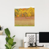 "COUCHES DE COULEUR/FEUILLES DE TOMBÉE" impression (Bureau à domicile)
