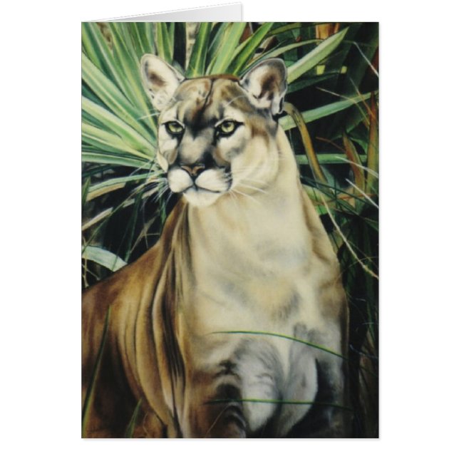 "Cougar" (Voorkant)