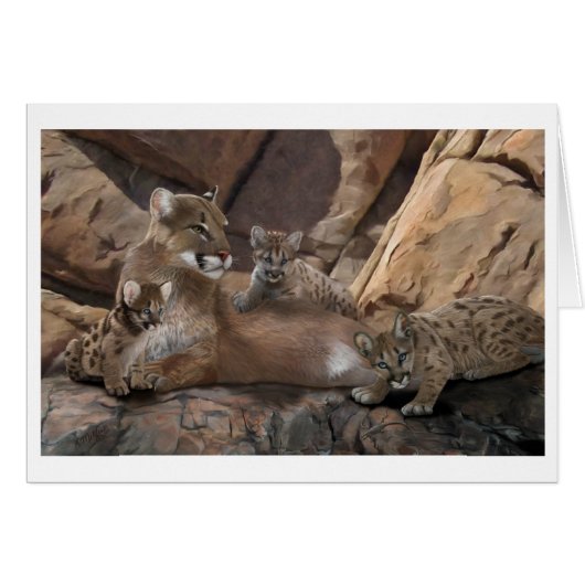 Cougar (Voorkant Horizontaal)