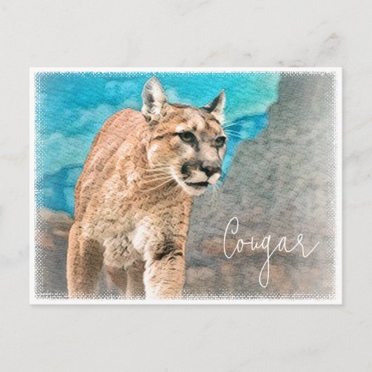 Cougar ポストカード briefkaart (Voorkant)