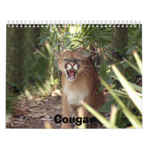 Cougar 001 Cougar Kalender