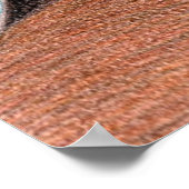 Cougar #2 poster (Hoek)