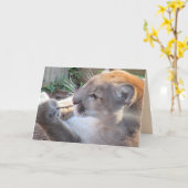 Cougar avec une carte de voeux (Fleur jaune)