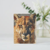 Cougar bergleeuw  briefkaart (Staand voorkant)