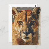 Cougar bergleeuw  briefkaart (Voorkant / Achterkant)