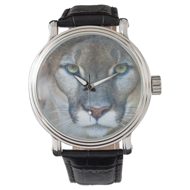Cougar, berlion, Florida panther, Puma 2 Horloge (Voorkant)