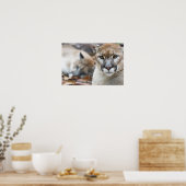 Cougar, berlion, Florida panther, Puma 2 Poster (Keuken)