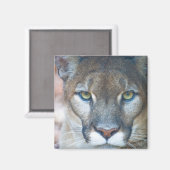 Cougar, berlion, Florida panther, Puma Magneet (Voorkant / Achterkant)