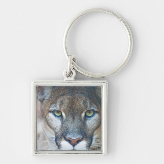 Cougar, berlion, Florida panther, Puma Sleutelhanger (Voorkant)