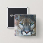 Cougar, berlion, Florida panther, Puma Vierkante Button 5,1 Cm (Voorkant /achterkant)