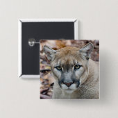Cougar, berlion, Florida panther, Puma Vierkante Button 5,1 Cm (Voorkant /achterkant)