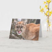 Cougar Big Cat Carte pour notes (Fleur jaune)
