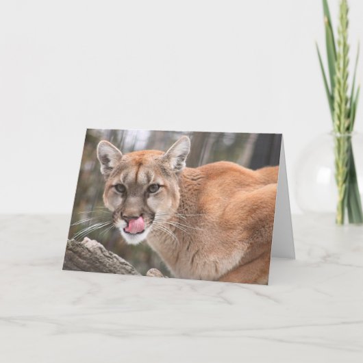 Cougar Big Cat Carte pour notes (Devant)