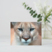 Cougar Briefkaart (Staand voorkant)