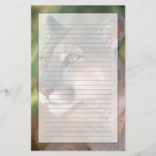 Cougar, Californië Briefpapier (Voorkant)