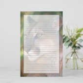 Cougar, Californië Briefpapier (Staand voorkant)