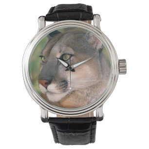 Cougar, Californië Horloge