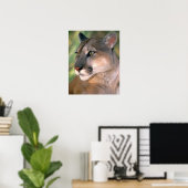 Cougar, Californië Poster (Thuiskantoor)