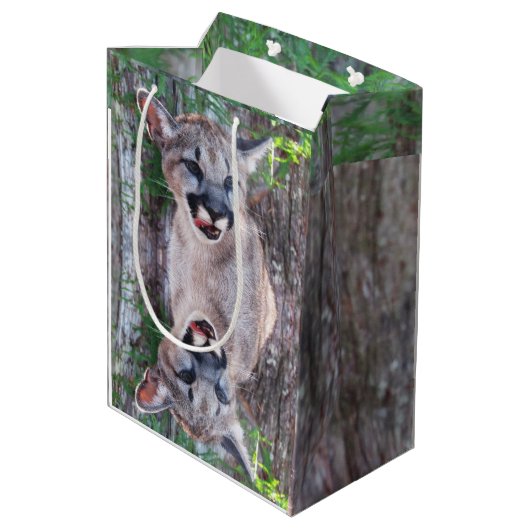 Cougar Cub Small of Medium Gift Bag Medium Cadeauzakje (Achterkant Gekanteld)