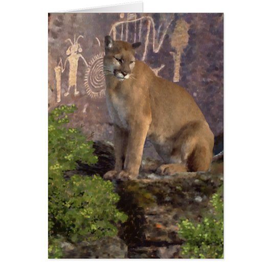 Cougar et pictographes (Devant)