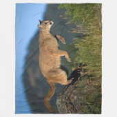 COUGAR FLEECE DEKEN (Voorkant)