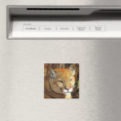 Cougar/Florida Panther Magnet Magneet (Insitu (Vaatwasser))
