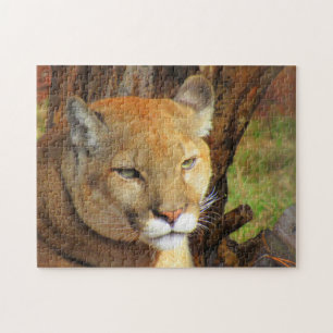 Cougar - Floride Panther Puzzle