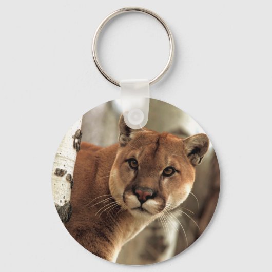 Cougar-foto Sleutelhanger (Voorkant)