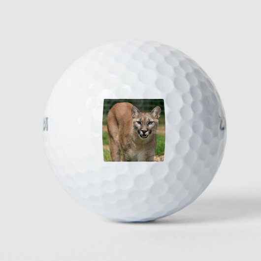 Cougar Golfballen (Voorkant)