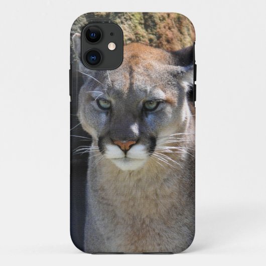 Cougar Mountain Lion Big Cat Art Coque (Dos)