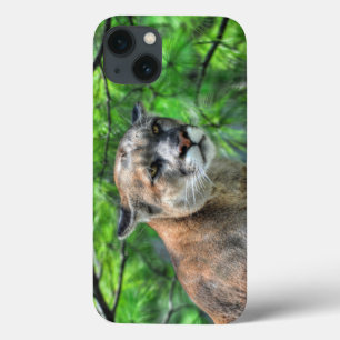 Cougar Mountain Lion en zomerdennen iPhone 13 Hoesje