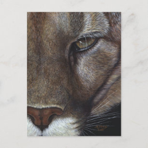 Cougar Mountain Lion Face Briefkaart