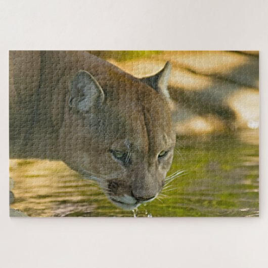Cougar Mountain Lion. Legpuzzel (Horizontaal)