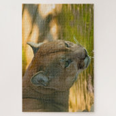 Cougar Mountain Lion. Legpuzzel (Verticaal)