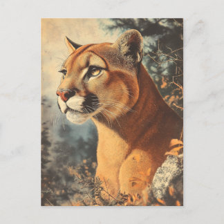 Cougar Mountain Lion Portrait Postkarte Briefkaart