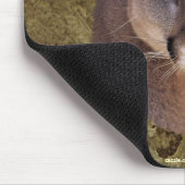 COUGAR Mountain Lion Wildlife Mousepad Muismat (Hoek)