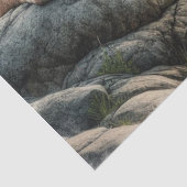 Cougar Mountain Lion Wildlife Tissue Paper Tissuepapier (Detail)