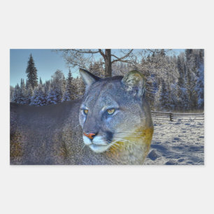 Cougar Mountain Lion & Winter Tree Wilde Afbeeldin Rechthoekige Sticker