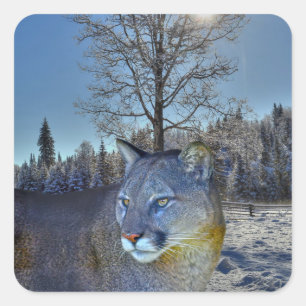 Cougar Mountain Lion & Winter Tree Wilde Afbeeldin Vierkante Sticker