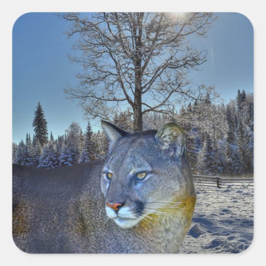 Cougar Mountain Lion & Winter Tree Wilde Afbeeldin Vierkante Sticker (Voorkant)