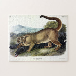 Cougar, of Puma, Panter, Bergleeuw, Catamount Legpuzzel