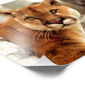 Cougar Photo Peinture (Coin)
