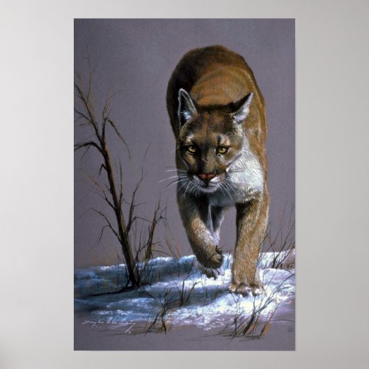 Cougar Poster (Voorkant)