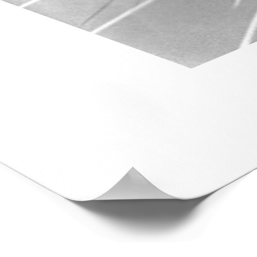 Cougar Poster (Hoek)