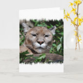 Cougar Predator-Wenskaart Kaart (Gele Bloem)
