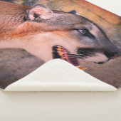 Cougar Profile Sherpa Deken (3/4)