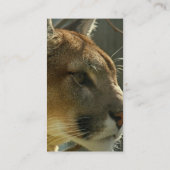 Cougar Puma Visitekaartje (Achterkant)