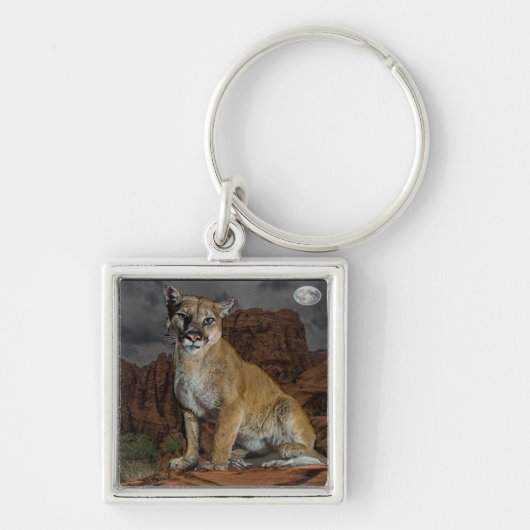 cougar sleutelhanger (Voorkant)
