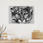 Cougar-tekening Poster (Keuken)